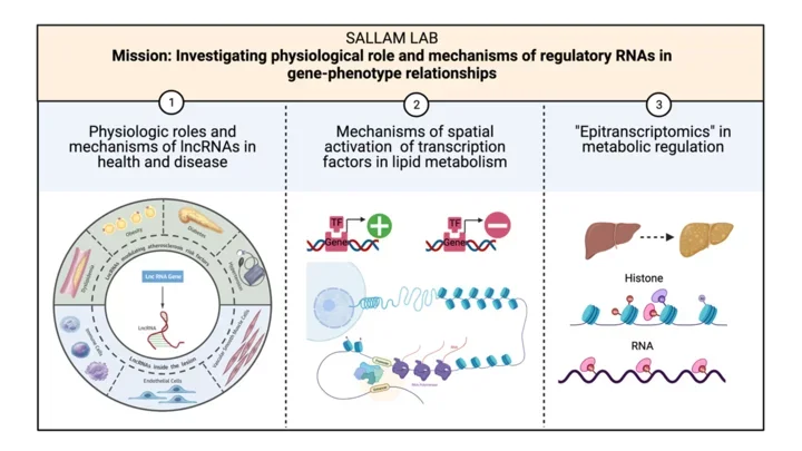 Sallam Lab Mission and pictural representation of their focus area. More on page.